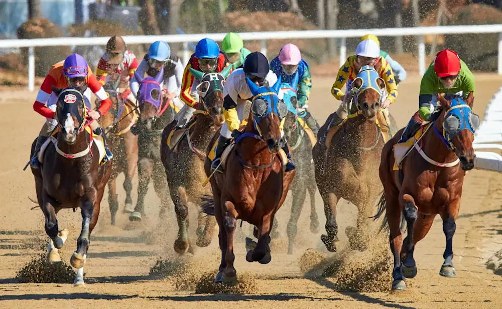 Horse Racing Image